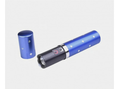 Купити електрошокер Новою поштою