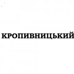 Электрошокеры в Кропивницком