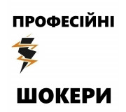 Професійний електрошокер