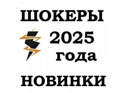 Топ 5 электрошокеров 2025 года