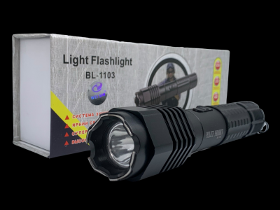 Які електрошокери та засоби самооборони дозволено в Україні?